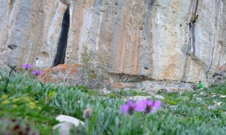 Spring Cleaning: Create Better Climbing Habits