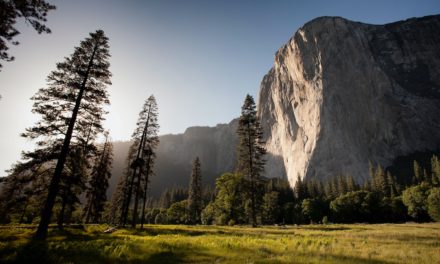 Can Yosemite Climbers Fix El Cap, or is it Already Too Late?